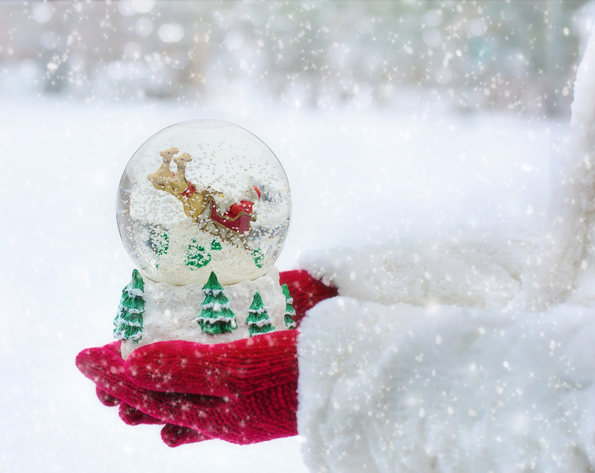Une toute nouvelle programmation pour que souffle l’esprit de Noël sur Rivière-du-Loup