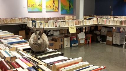 Semaine des bibliothèques publiques - La Bibliothèque Françoise-Bédard souligne la 20<sup>e</sup> édition du 20 au 27 octobre