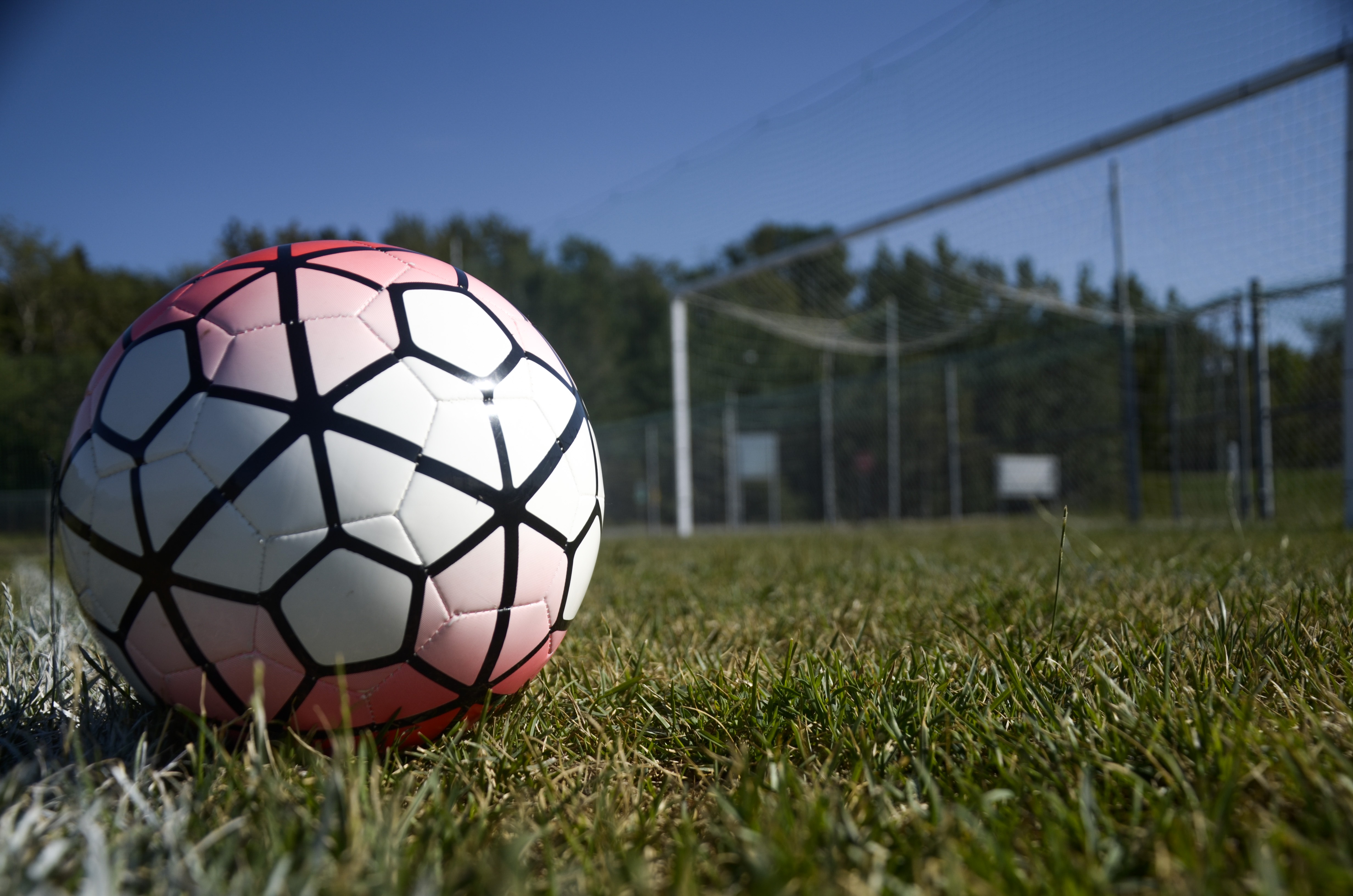 Terrains sportifs louperivois : tour d’horizon des ouvertures en cours et à venir
