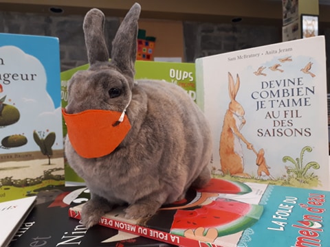 La bibliothèque bientôt à rayons ouverts!