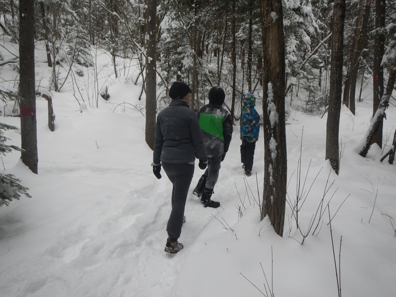 Cherche et trouve - Programmation Boule de neige - image