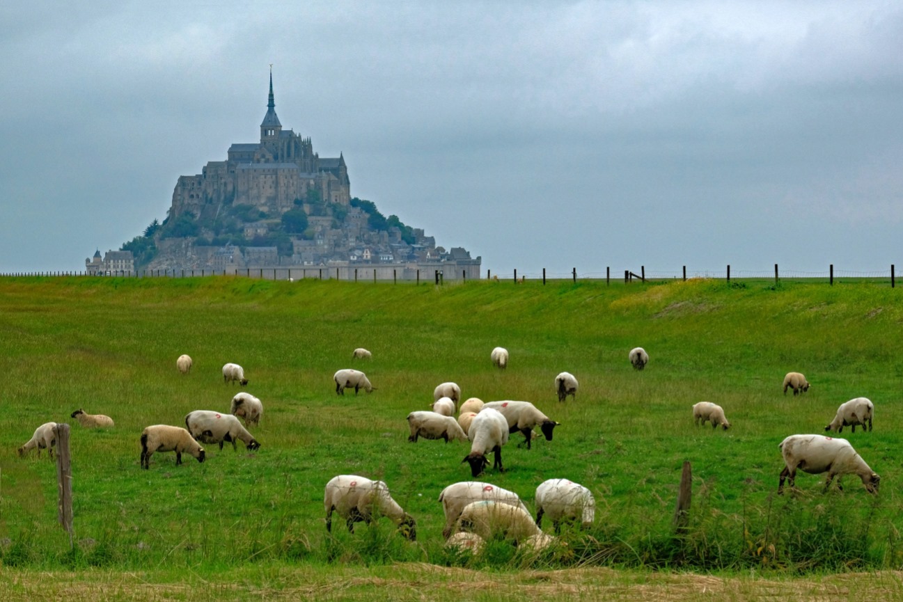  Exposition de photos « Être entre deux pas » par Gilles Fraser - dernière journée! - image