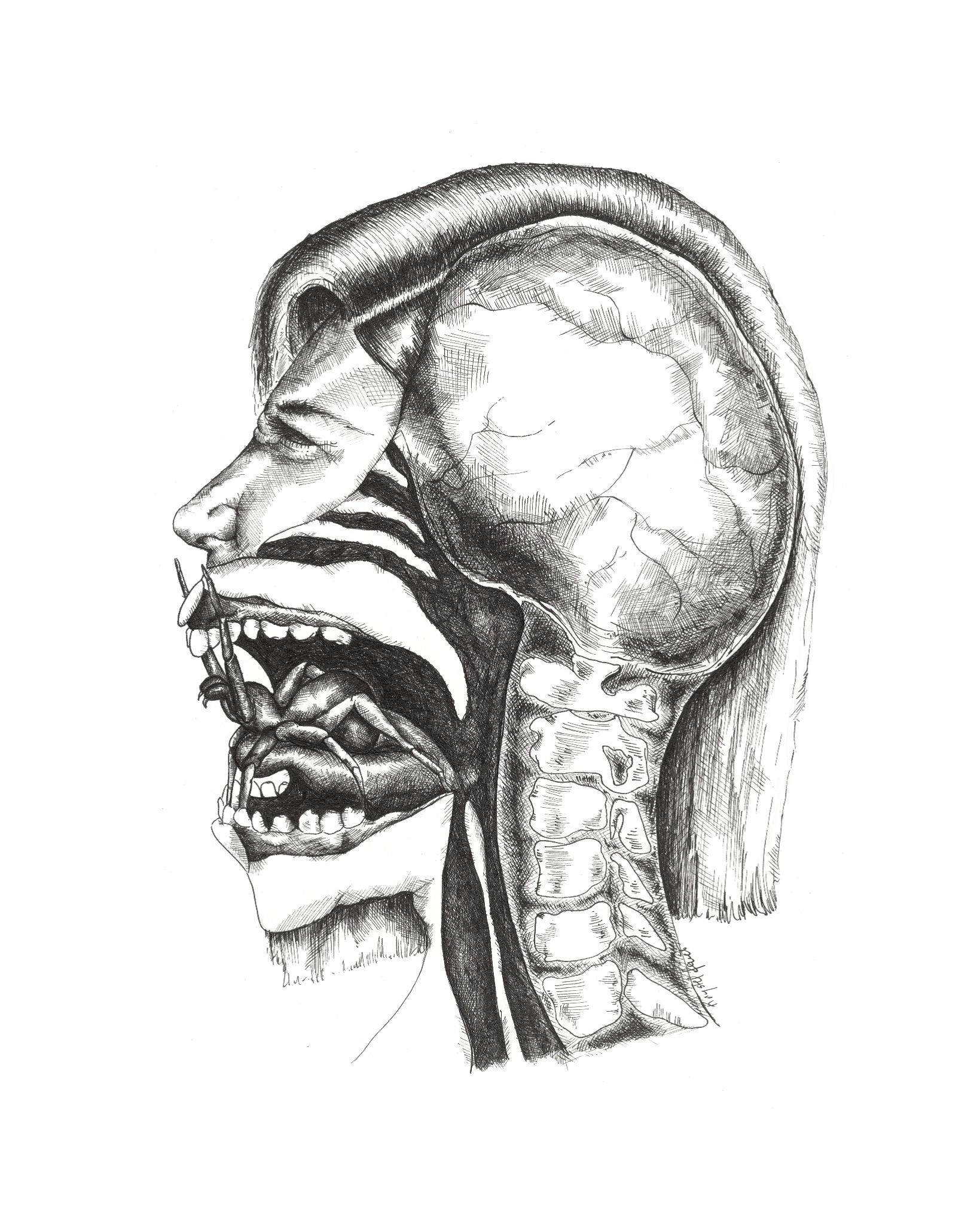 Vernissage de l'exposition <i>Contorsions féministes</i> - image