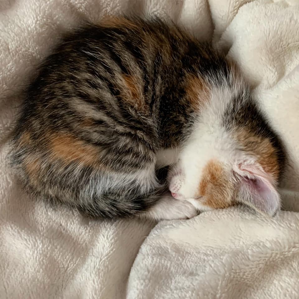 Le sommeil, un sujet qui réveille!