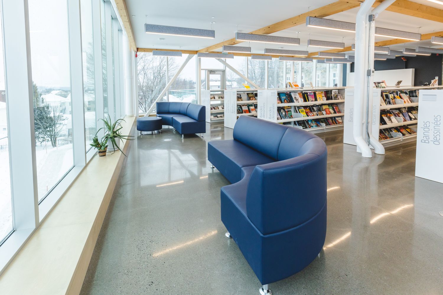 Une saison de curiosité et de créativité à la bibliothèque Françoise-Bédard