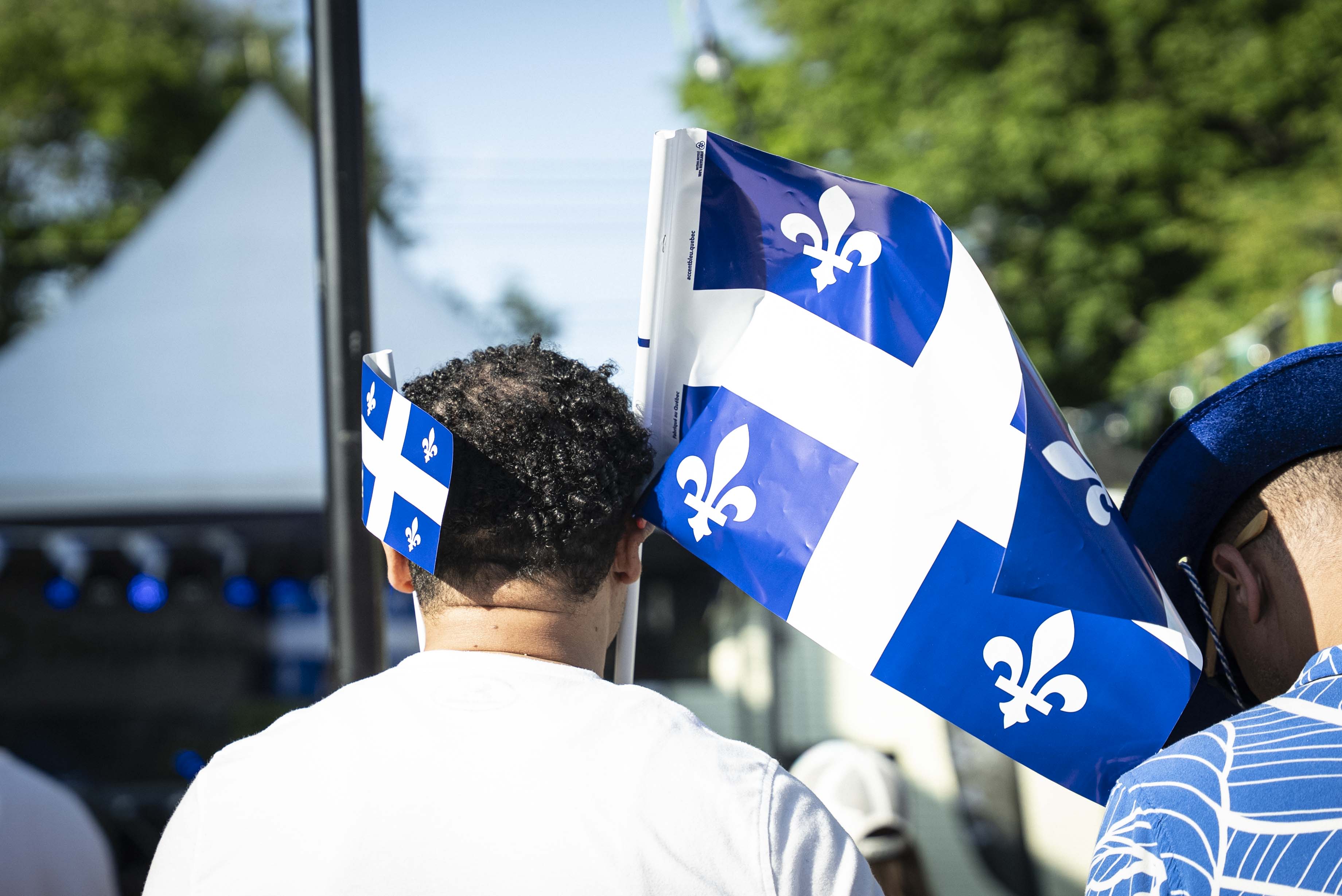 Lafleur et fleur de lys pour la Fête nationale