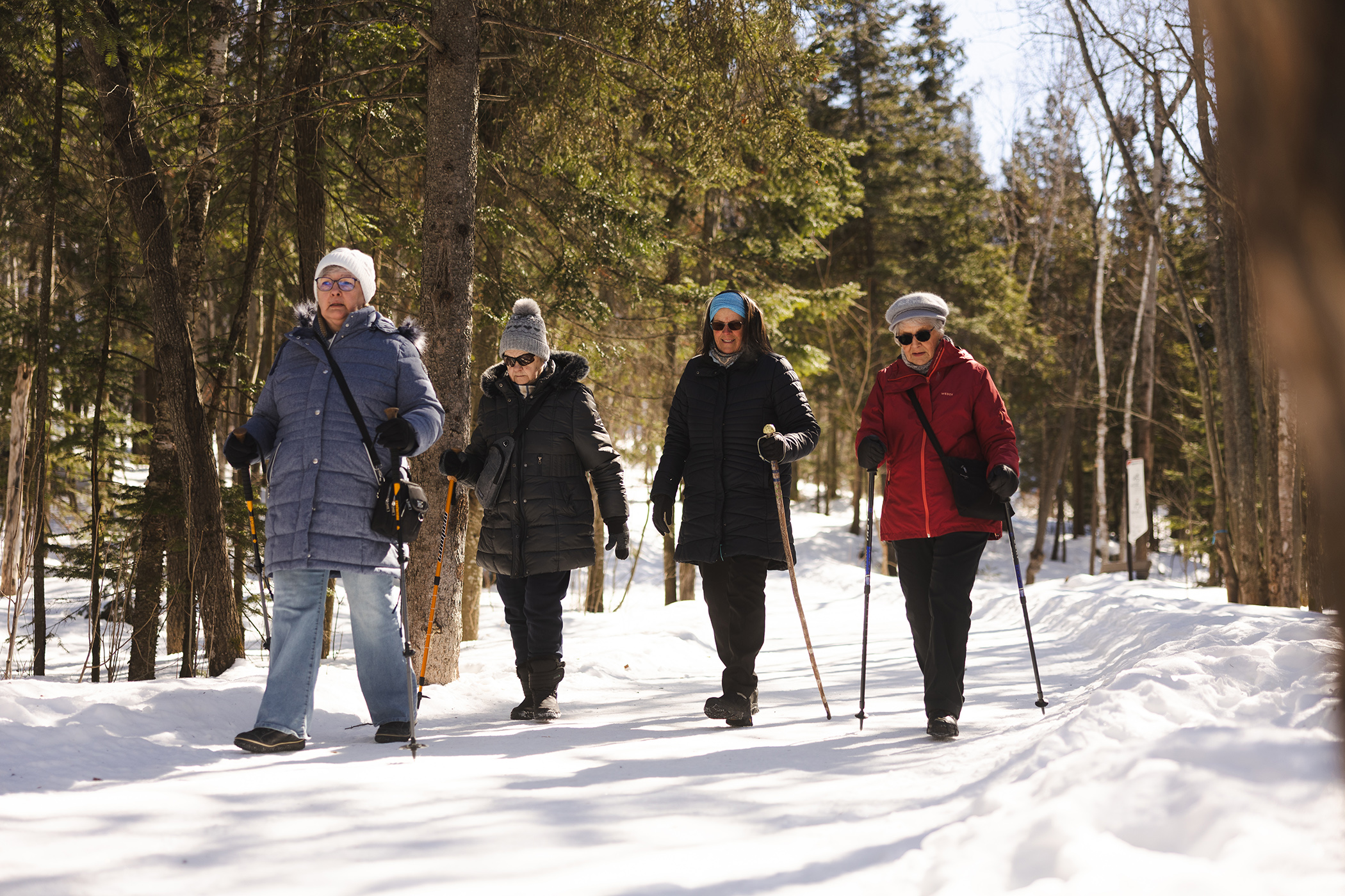 Programmation hivernale de la Ville : inscriptions ouvertes pour les aînés